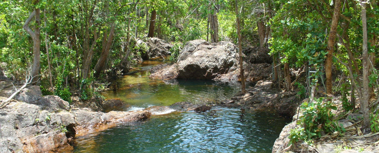 Buley Rock Hole in Litchfield National park on a 4wd tour from Darwin
