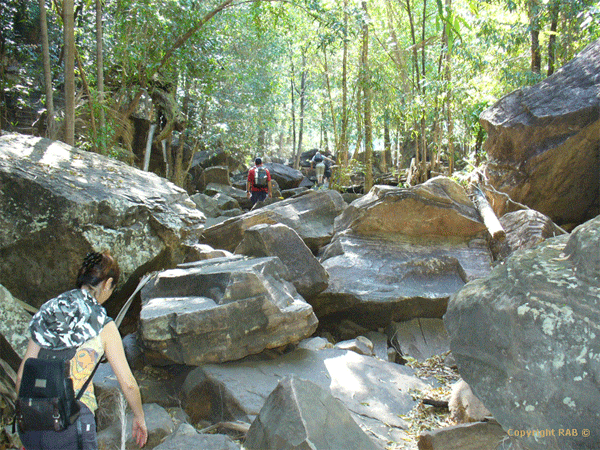 A just under 2km return walk through a monsoon forest and over small and larger boulders will take you to a deep plunge pool surrounded by ancient, 150-metre high cliffs where the falls pound the bottom druring the Tropical Summer also known as the Green or Wet Seasons usually from late November to March. Though as season change it's unpredictable.